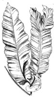 290423.jpg