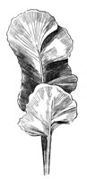 290421.jpg