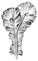 290415.jpg