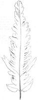 290411.jpg