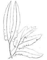 290407.jpg