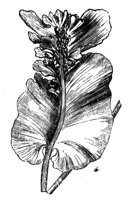 290405.jpg
