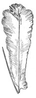 290393.jpg