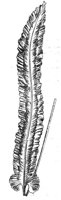 290387.jpg