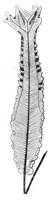 290383.jpg
