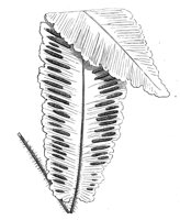 290381.jpg