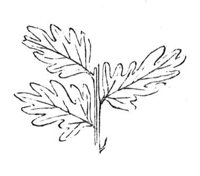290347.jpg