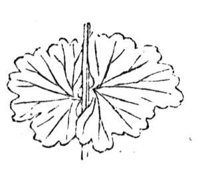 290345.jpg