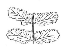 290295.jpg