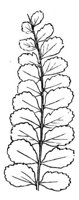 290291.jpg