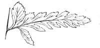290277.jpg