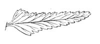 290263.jpg