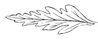 290253.jpg