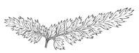 290177.jpg