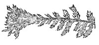 290145.jpg