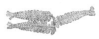 290135.jpg