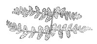 290119.jpg