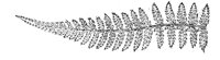 290111.jpg
