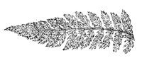 290081.jpg