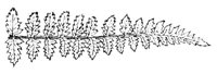 290079.jpg