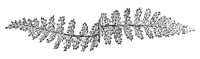 290071.jpg
