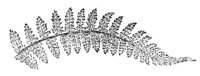 290067.jpg