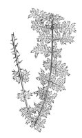 290063.jpg