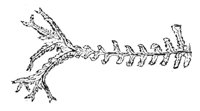 290061.jpg
