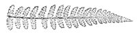 290059.jpg