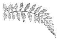 290057.jpg