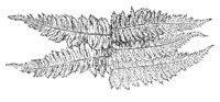 290043.jpg
