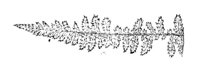 290041.jpg