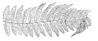 290035.jpg