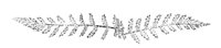 290031.jpg