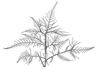 290027.jpg