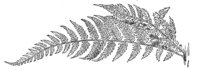290025.jpg