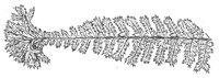 290023.jpg