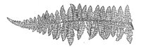 290011.jpg