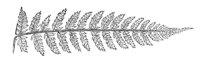 290003.jpg