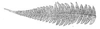 289981.jpg
