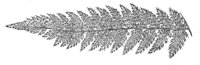 289977.jpg