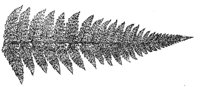 289975.jpg
