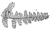 289947.jpg