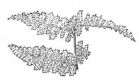 289941.jpg