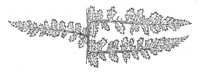 289927.jpg