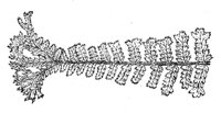 289925.jpg
