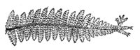 289909.jpg