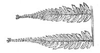 289907.jpg