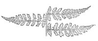 289905.jpg