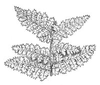 289901.jpg